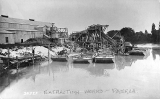 Gold Extraction Works and Sand Barges at Paeroa